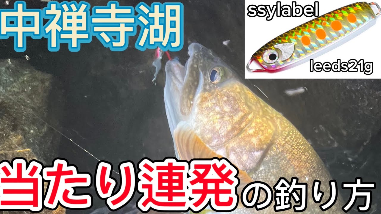 【中禅寺湖】でレイクトラウトを釣るならこれ!！