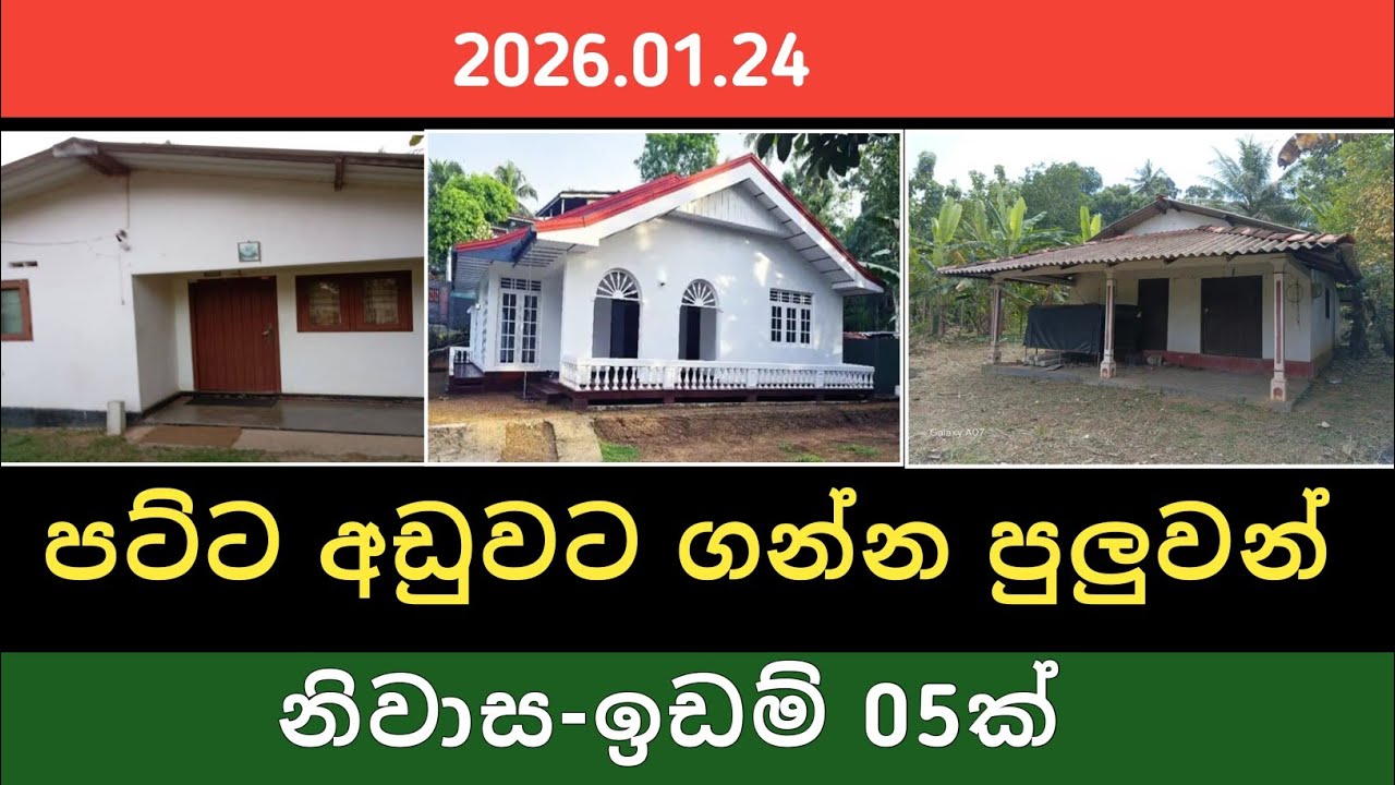 පට්ට අඩුවර නිවාස ඉඩම් 05ක් | House for Sale | Land Sale | Property Selling 
