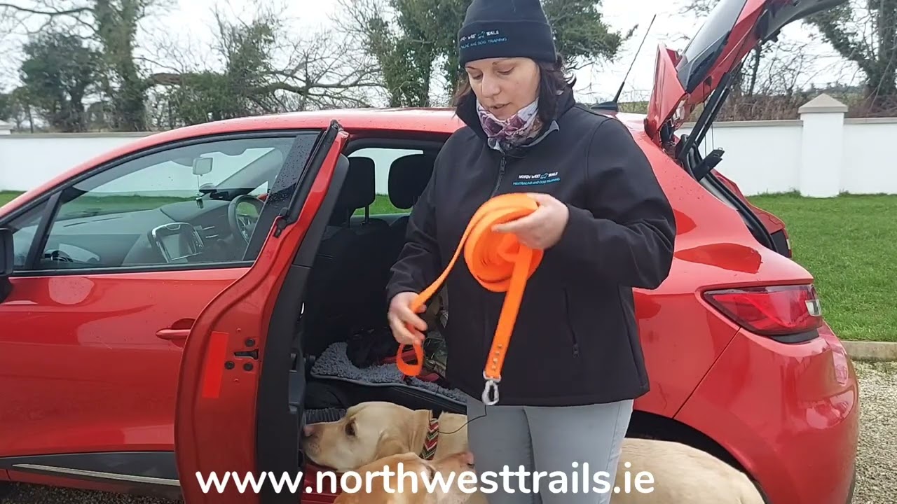 Mantrailing Dog Sport - what you need