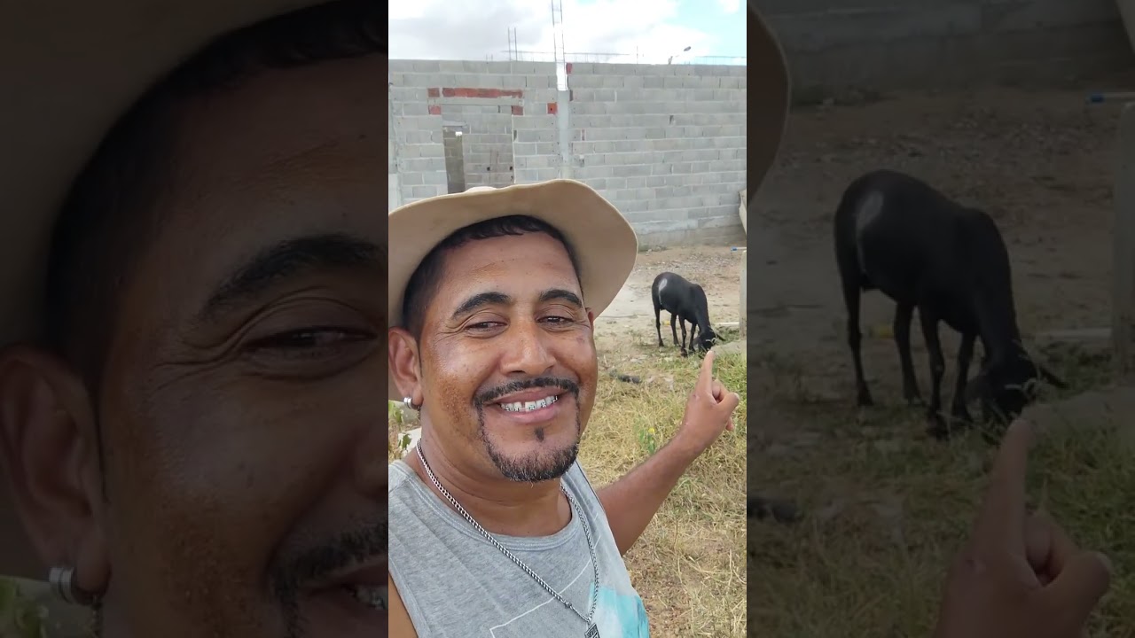 # lá vem a vizinha de novo me fazendo perder tempo 🤣