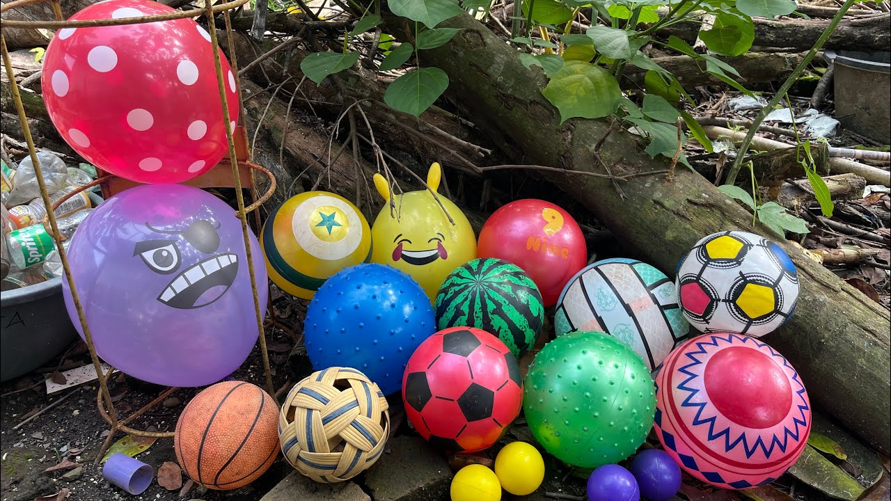 KOMPILASI VIDEO 65 HUNTING BALON LUCU DAN BOLA BOLA