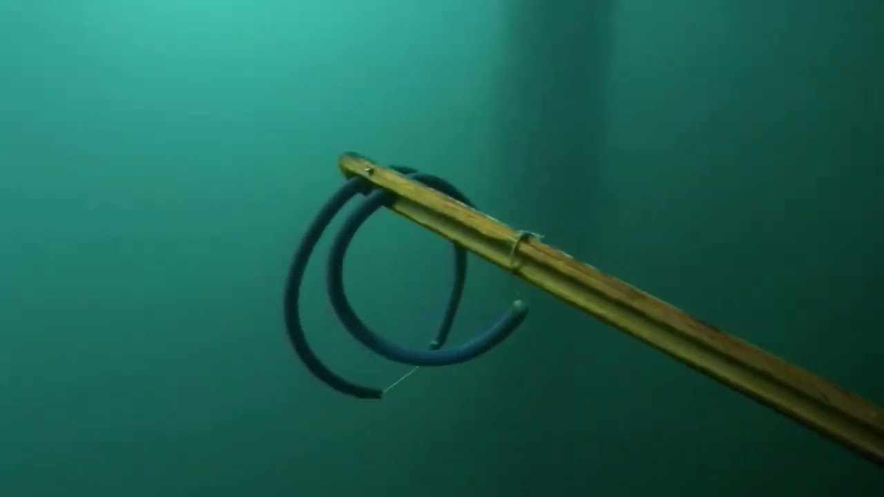 PESCA SUB ROBALOS PEVAS - ANGRA DOS REIS - ERROS E ACERTOS 🤿🐟