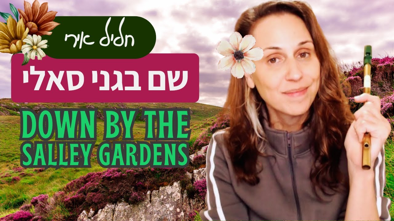 שיעור חליל אירי D - נעימה אירית: סאלי גרדנז (+ חפירות TMI)