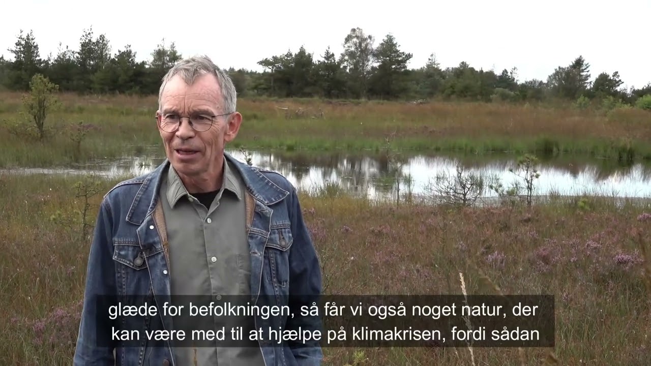 Hønning Mose