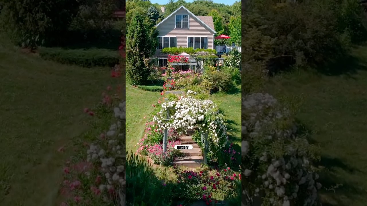 Романтическая экскурсия по розовому саду #сад #розовыйсад #розы