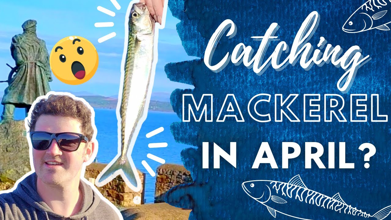 Mackerel Fishing with Feathers From the Shore in Moelfre - Anglesey North Wales - Sea Fishing UK