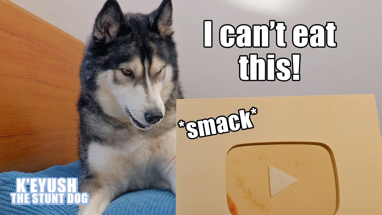 Husky TALKS Over Me And FLIPS Over Gold Playbutton! 1 Million Subscribers!