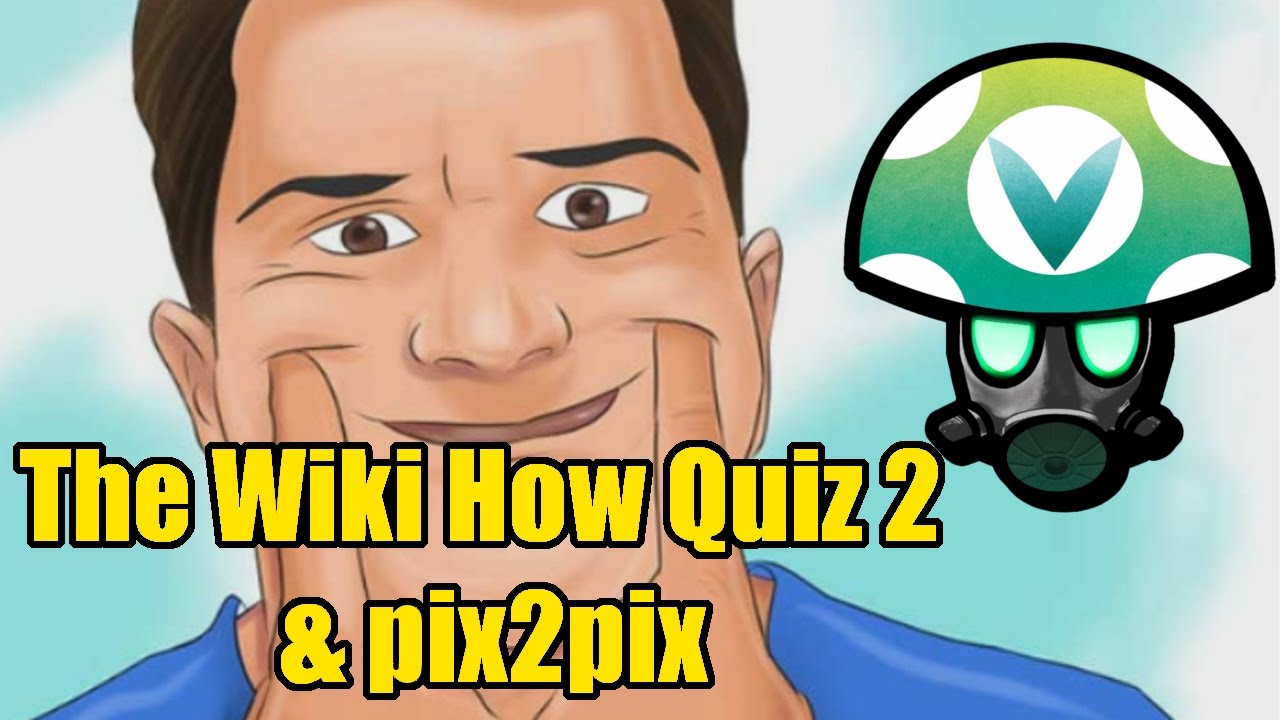 The Wiki How Quiz 2 & pix2pix (edge2cat) - Rev [Vinesauce]