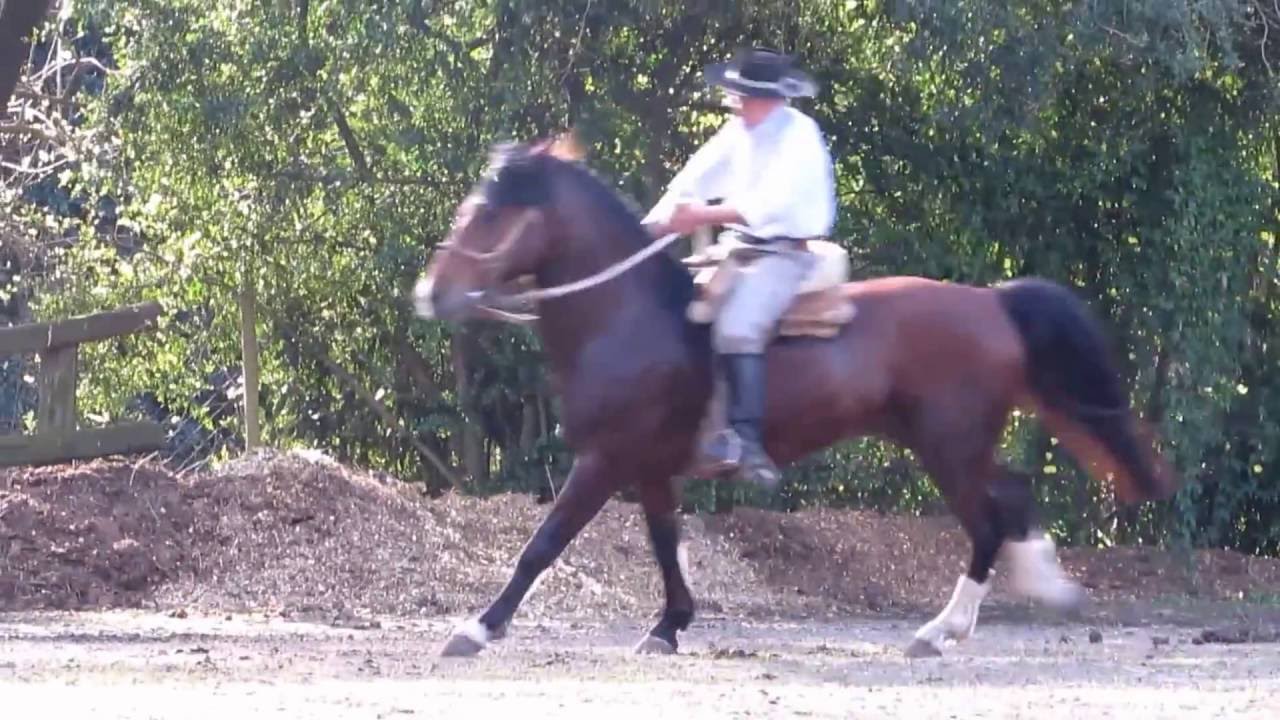 Simon Ampuero