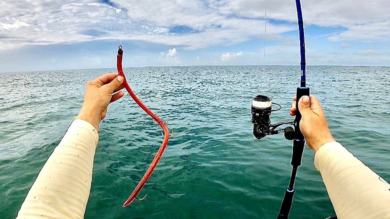 Fishing GIANT Surgical Tube For a Wreck MONSTER!