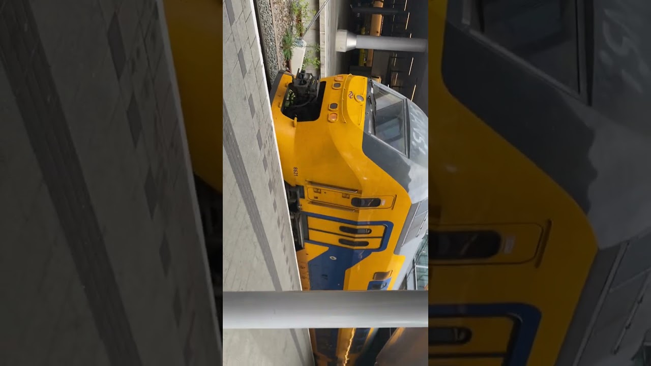Treinen video 2025￼