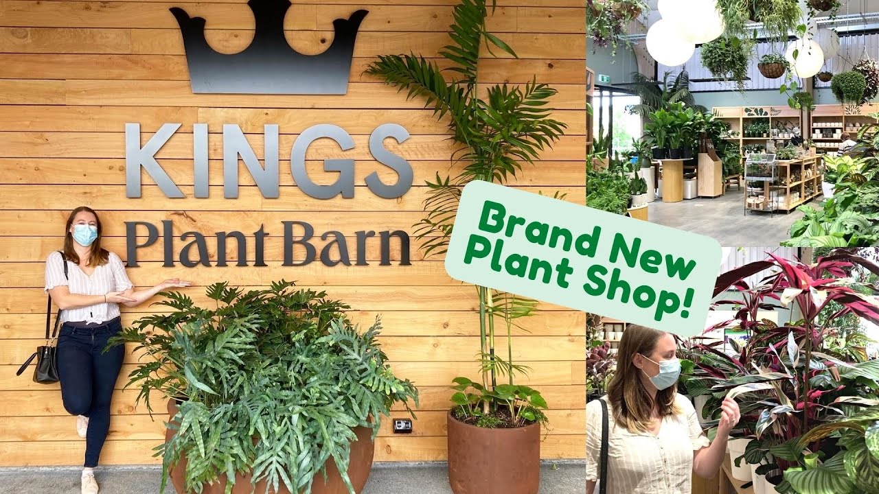 NZ PLANT SHOP TOUR 🌱 Kings Plant Barn | Stonefields