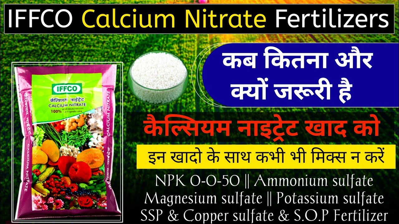कैल्शियम नाइट्रेट खाद क्या है और कैसे इस्तेमाल करें |Calcium Nitrate fertilizer |Advance agriculture