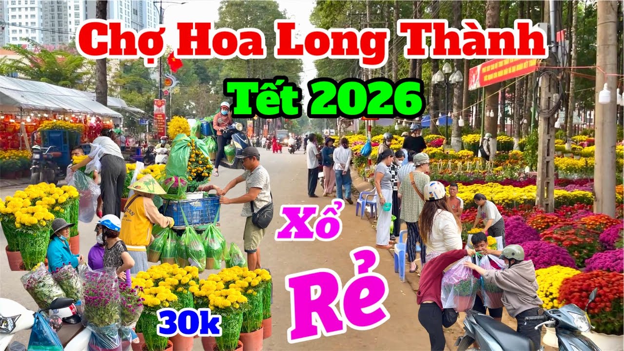 Hoa RẺ Bất Ngờ Tại Chợ Hoa Long Thành Tết 2026