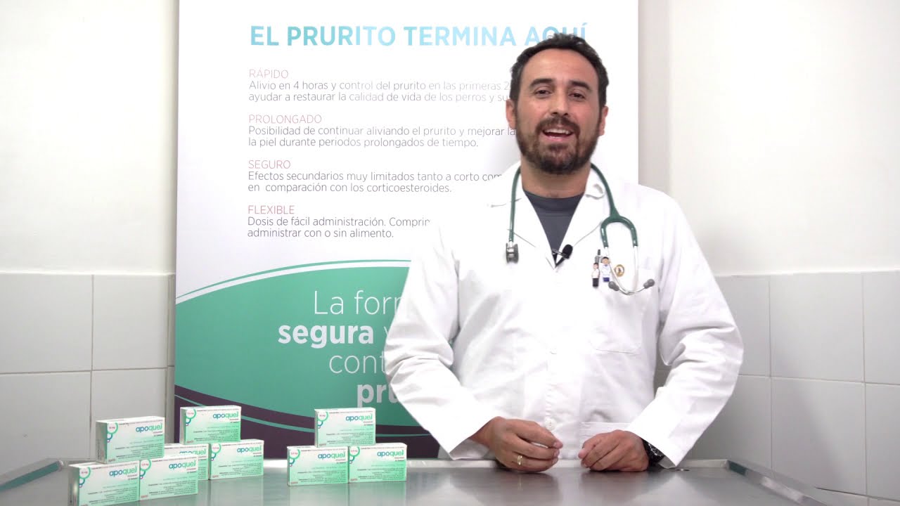 Caso clínico de Prurito tratado con Apoquel de Zoetis