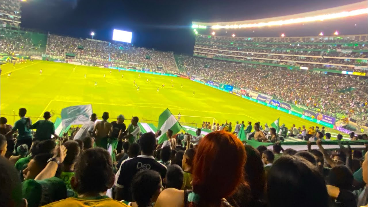 Deportivo Cali vs Junior | FRENTE RADICAL VERDIBLANCO