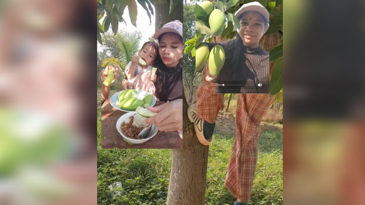 Eat mangoes🤤🤤🌚🫒🫒🫒