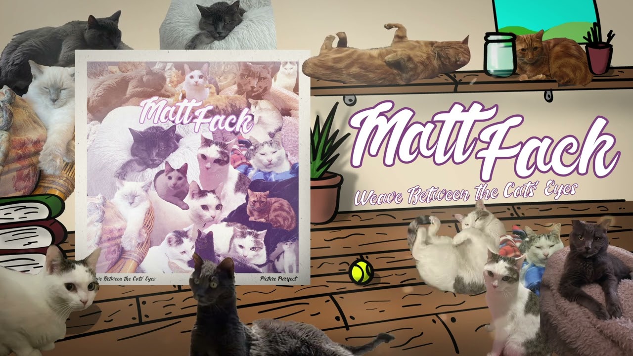Matt Fack | Weave Between the Cats' Eyes || Picture Purrfect (ft. Seth Murrant)