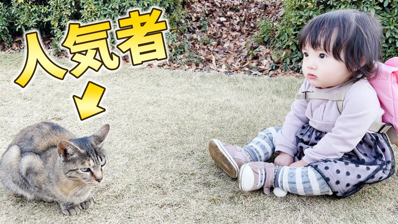 あの子猫が公園の人気者になっていました