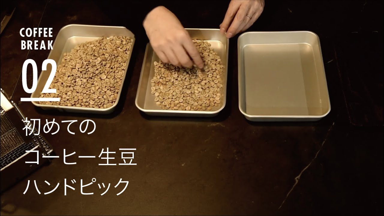 初めてコーヒー生豆を購入『ハンドピック』をしてみました。