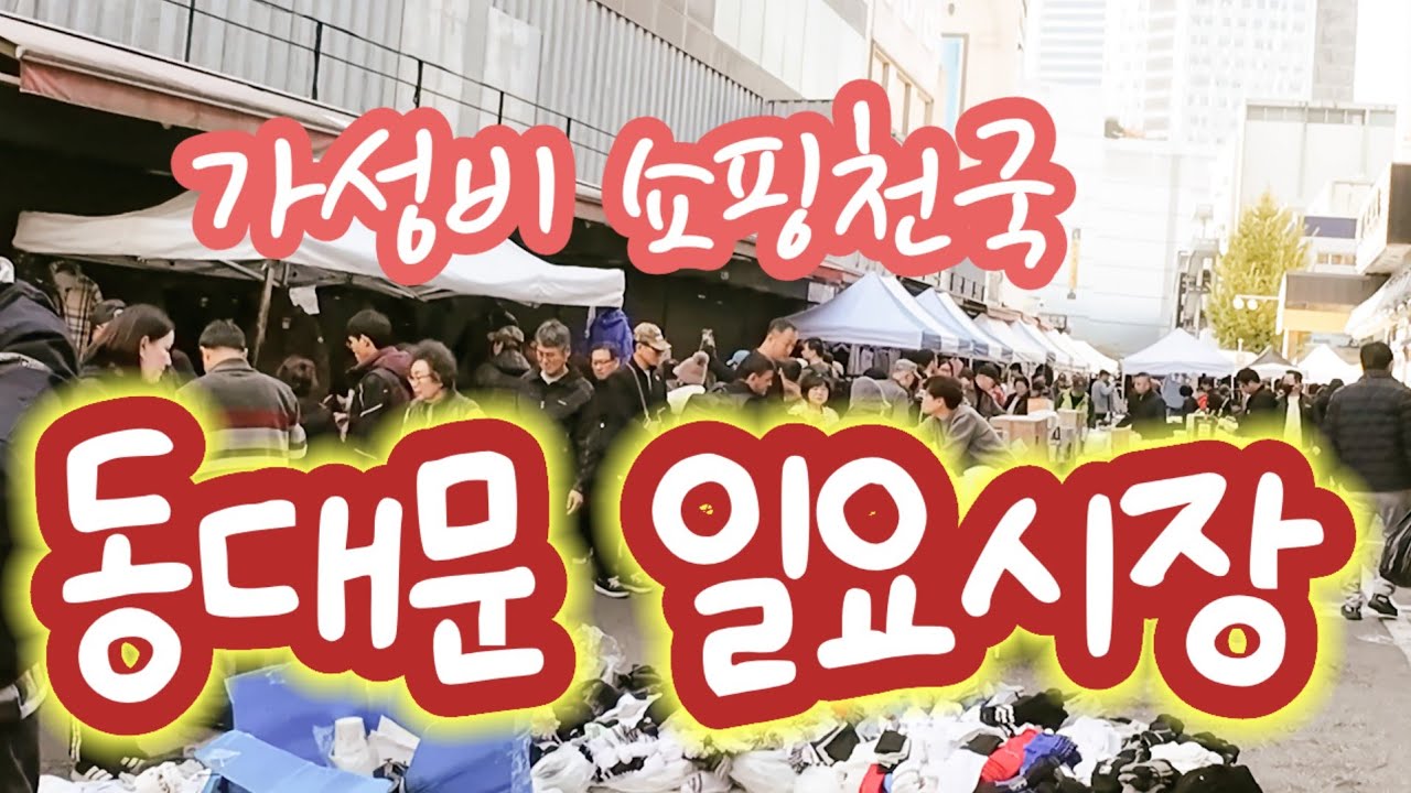 사람구경 가성비 좋은옷구경 외국인구경 볼거리 풍성한 동대문일요시장 워킹투어 