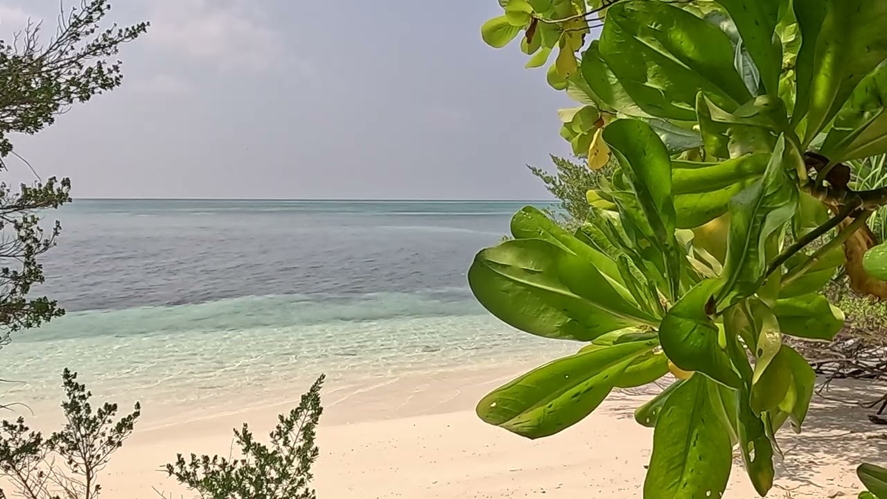 Sound of the Sea