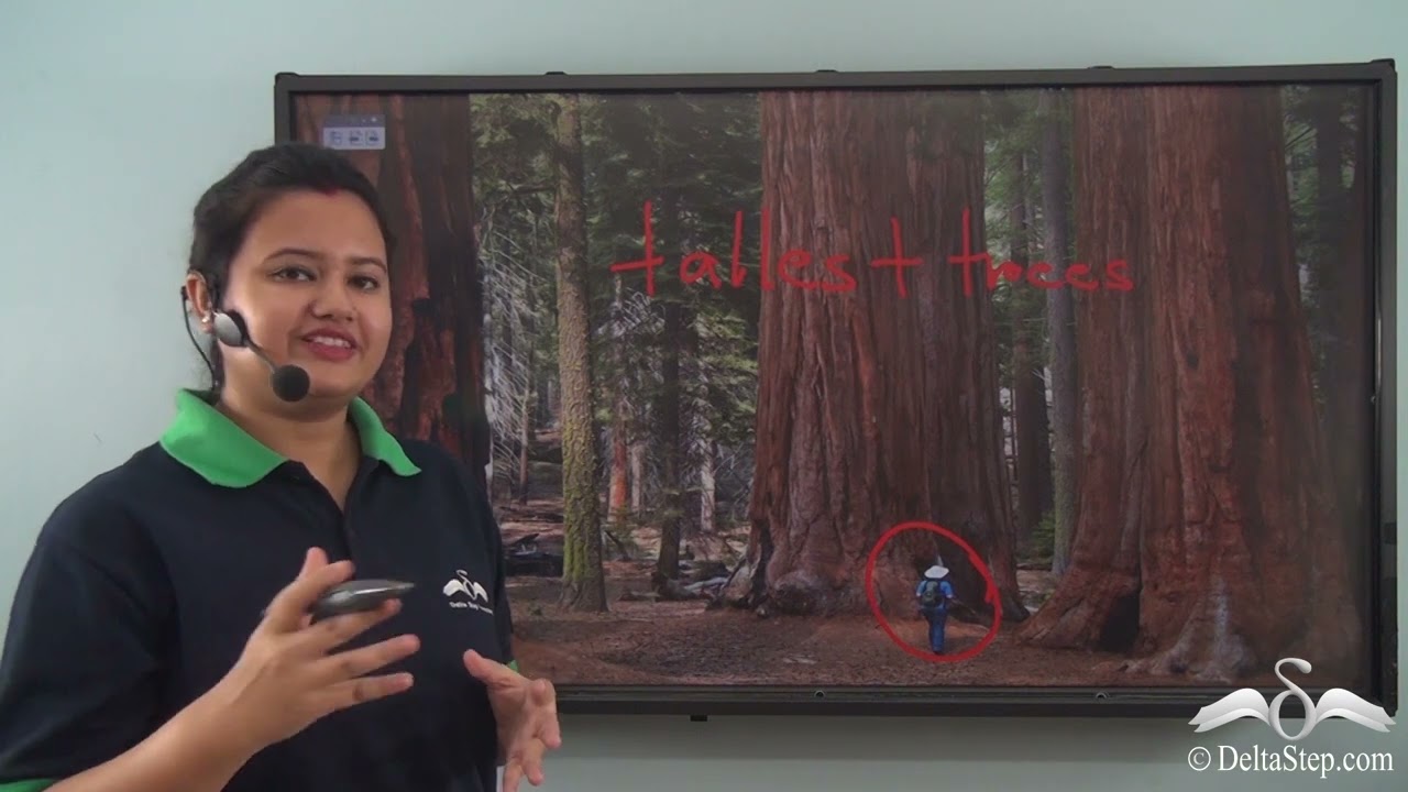 Deserts and Temperate Forests