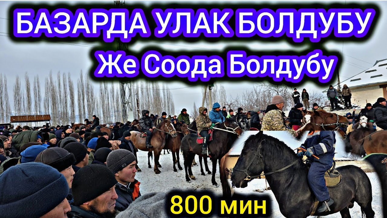 НООКАТ ЖЫЛКЫ БАЗАРДА  УЛАК БОЛДУБУ😱 ЖЕ СООДА БОЛДУ 800 МИН#байкж 