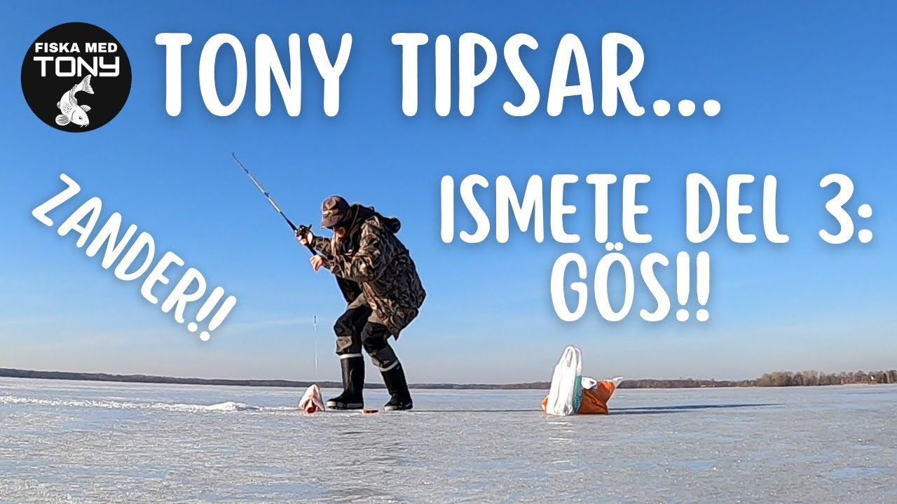 Tony tipsar... - Ismete, del 3: Gös!