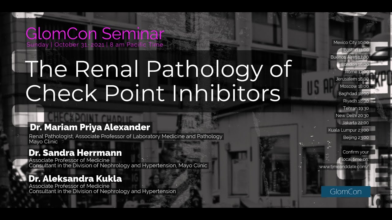The Renal Pathology of Check Point Inhibitors