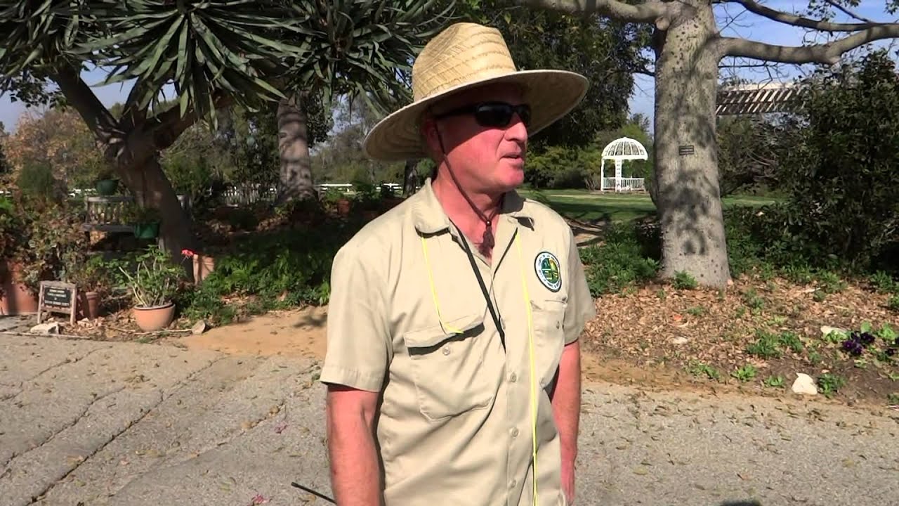 South-coast Botanic Gardens Documentary