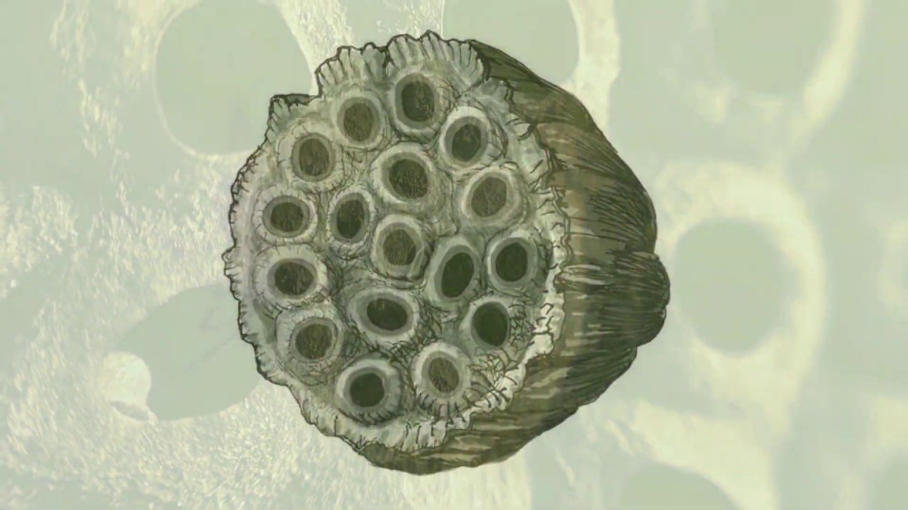 Matthew Price Artist - Why Nature Inspires my Art