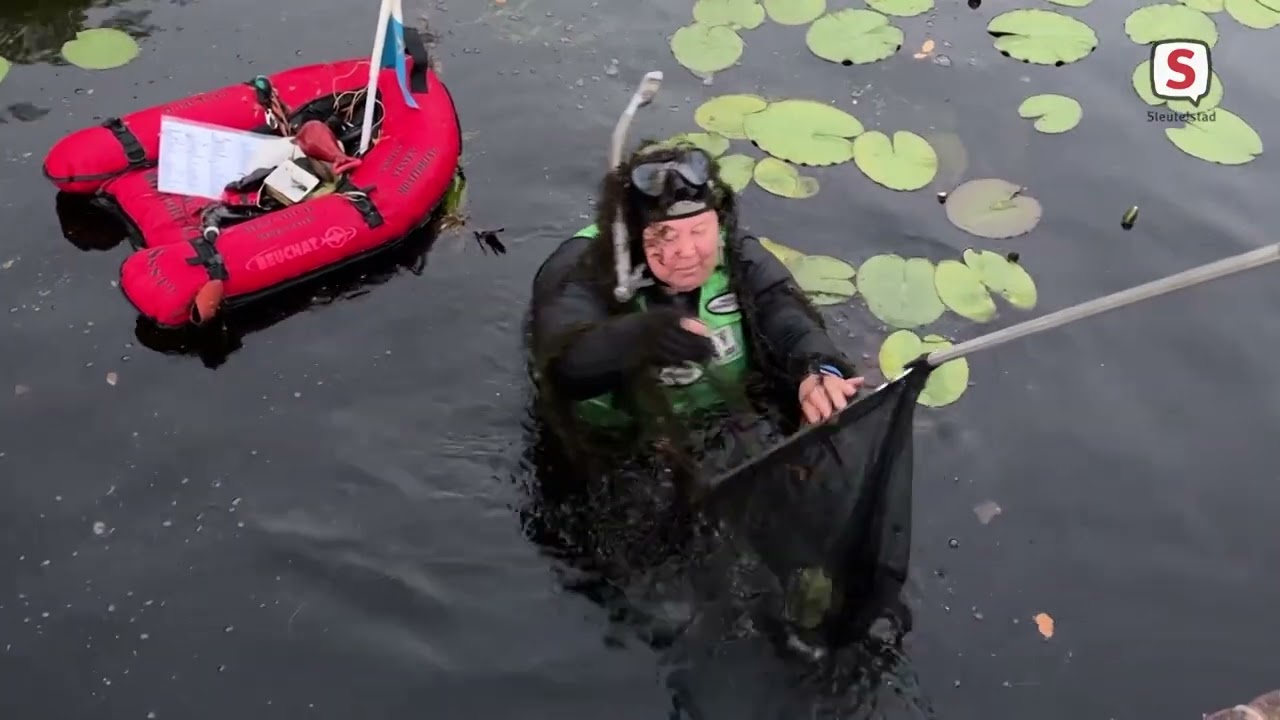 De jacht op invasieve exoten in Leiden (27 juni 2023)
