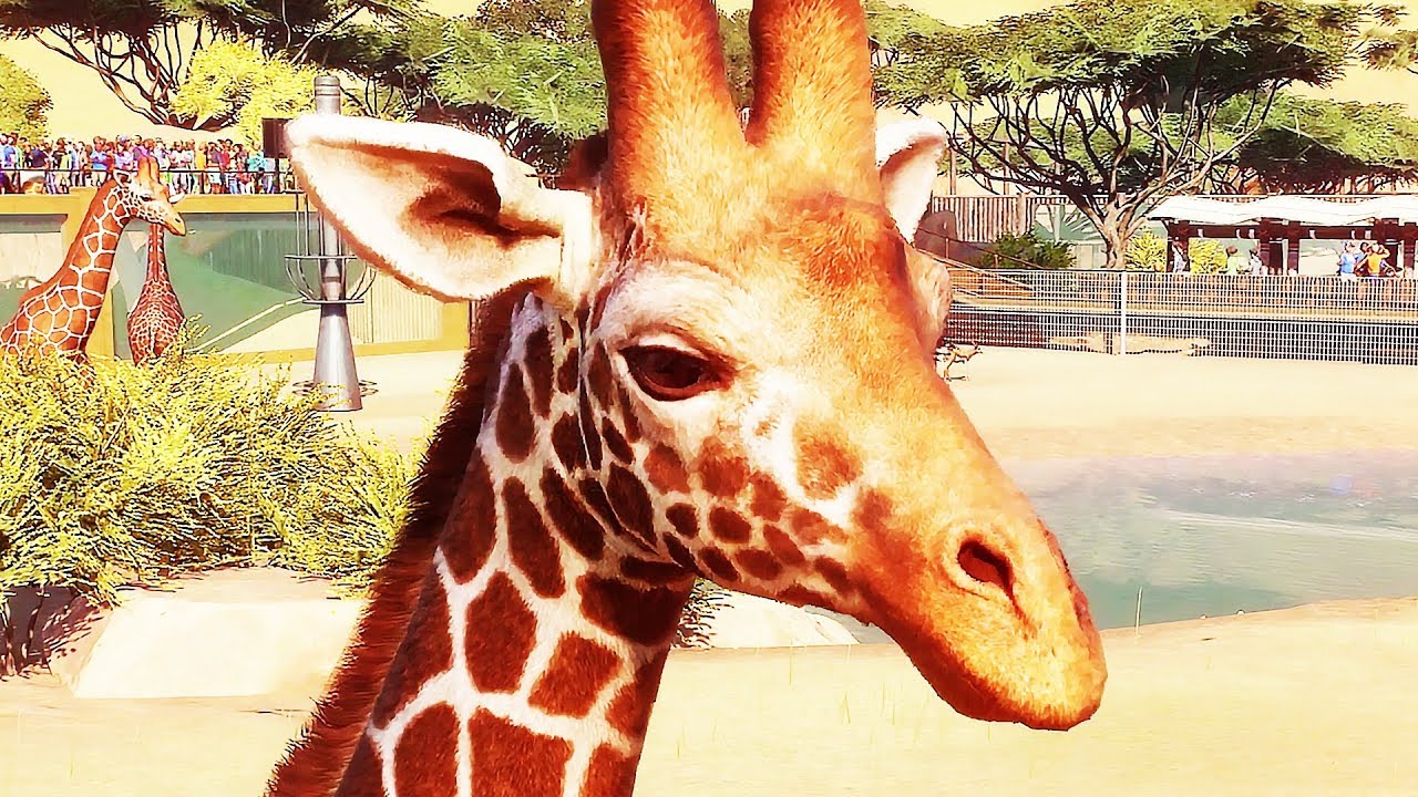 PLANET ZOO Démo de Gameplay (2019)