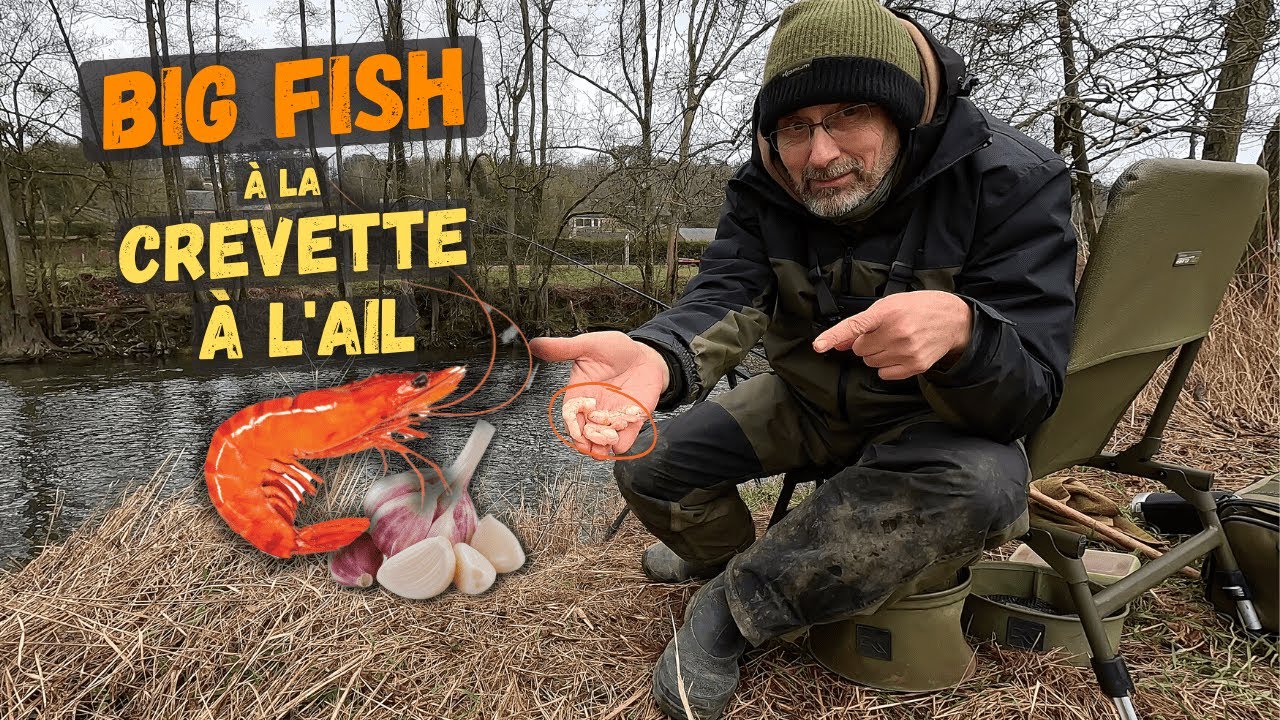 Crevette, Ail & Épices, un Trio magique pour attirer du Big Fish !? | Pêche au feeder en rivière