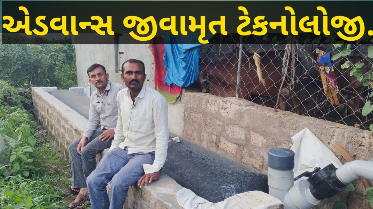 એડવાન્સ જીવામૃત ટેકનોલોજી ખેડૂતોને સફળ બનાવશે....? 7878261230