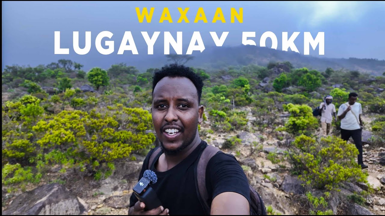 MIRCI ILAA MILXO | WAXAAN KU LUGAYNAY 50KM BUURAHA CALMADOW. #calmadow #travel #sanaag #somalia