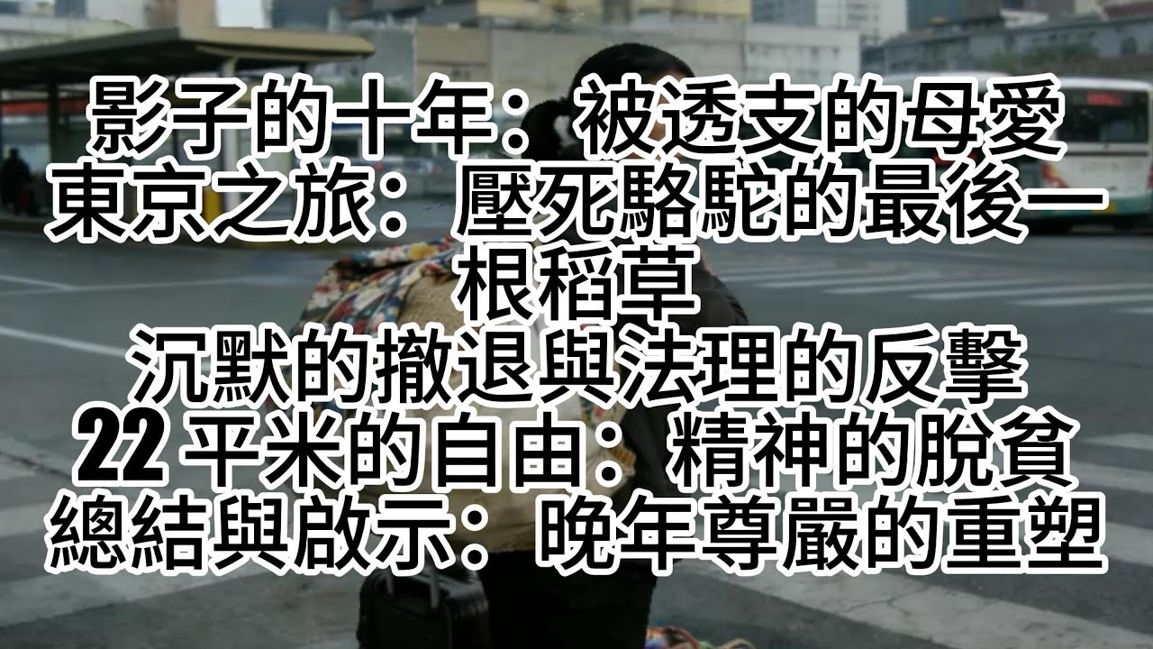 影子的十年：被透支的母愛#有聲書#母子#感情