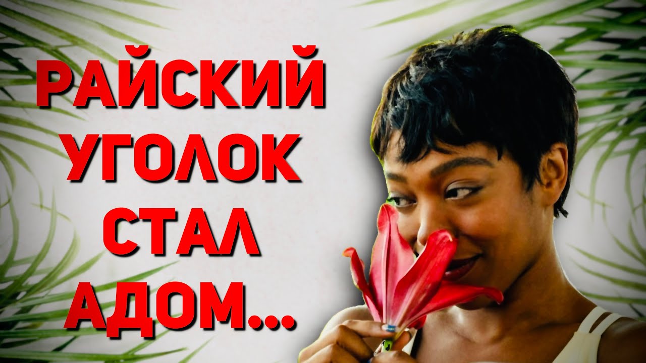 🌴🍹ПОДАЙ ЗНАК📷🌺  - ЖУТКАЯ ВЕЧЕРИНКА В стиле Пи Дидди