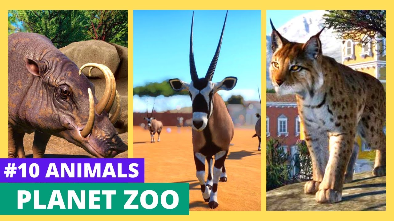 Super Planet Zoo! #10 Names And Sounds Wild Animals 08