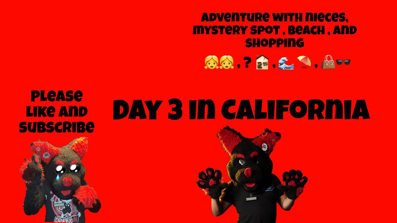 Day 3 in California ( adventure with nieces, mystery spot , beach , shopping 