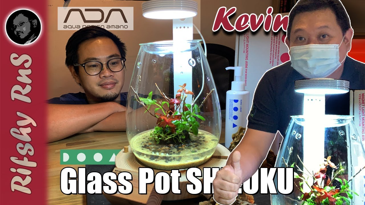 DOOA Glass Pot SHIZUKU | ADA | Wabi-Kusa