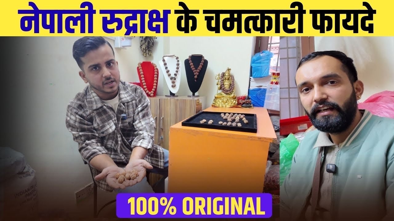 Nepali Rudraksha ke wholesaler | 21 mukhi rudraksha #nepal #ekmukhi #travel 