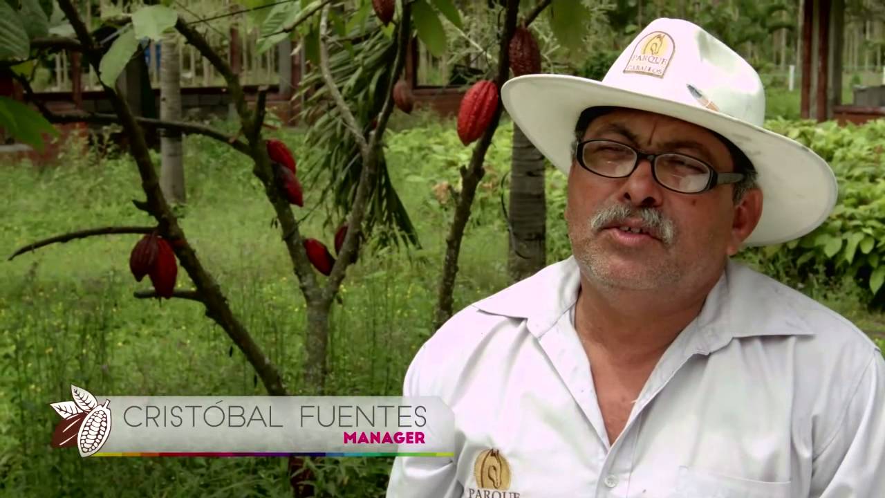 ECUADOR ORIGIN OF THE BEST CHOCOLATE