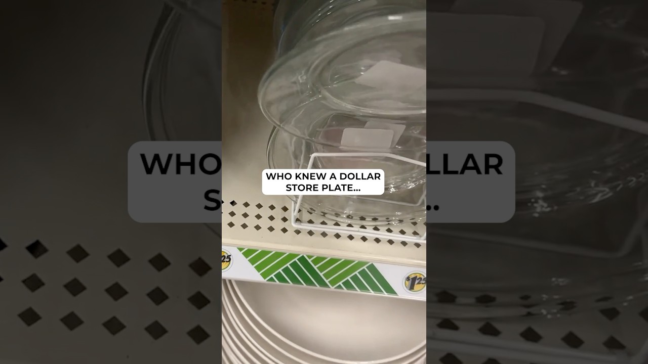 The wild ways she turns Dollar Store plates into jaw dropping home decor!