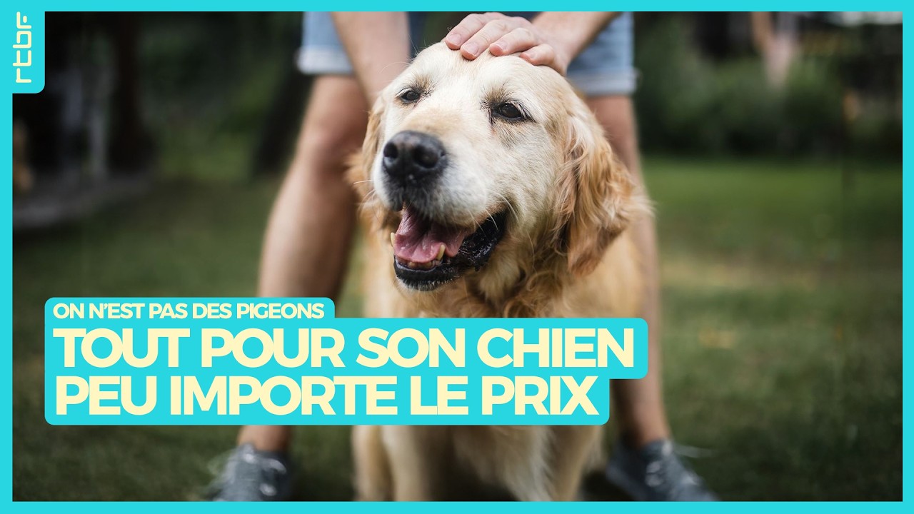 Tout pour son chien peu importe le prix - On n'est pas des Pigeons