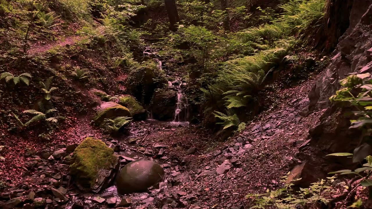 Flowing Water Around Smooth Mountain Stones | 4K Water Sounds