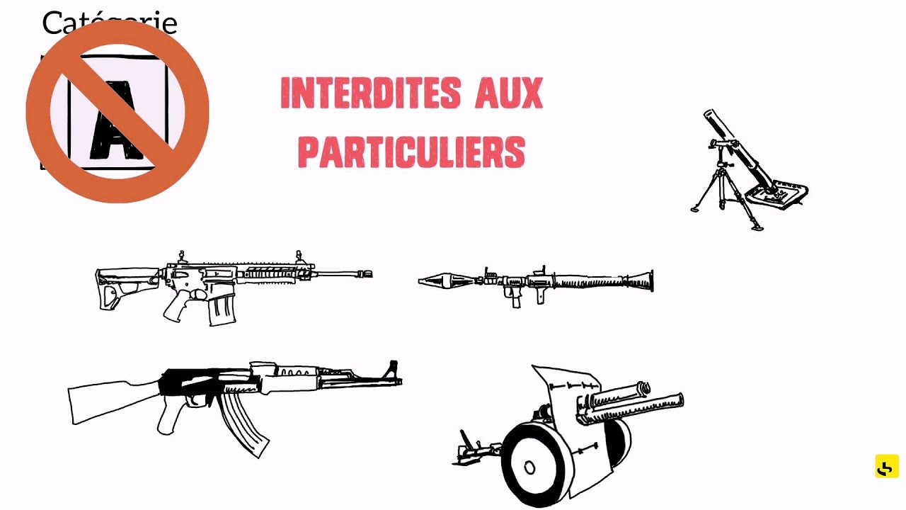 Expliquez-nous... les armes en France
