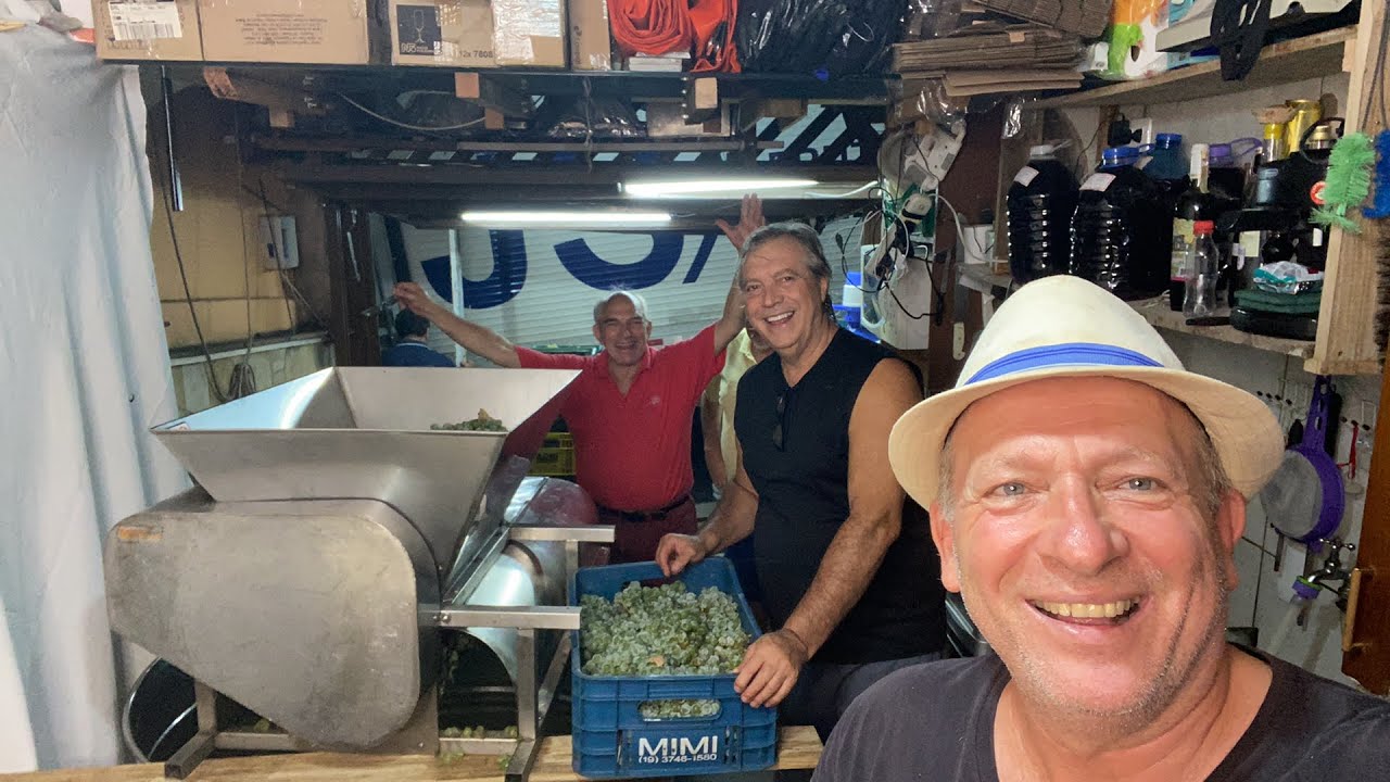 Safra 2023, vinho artesanal  na garagem do vinho com uva Niágara branca!!