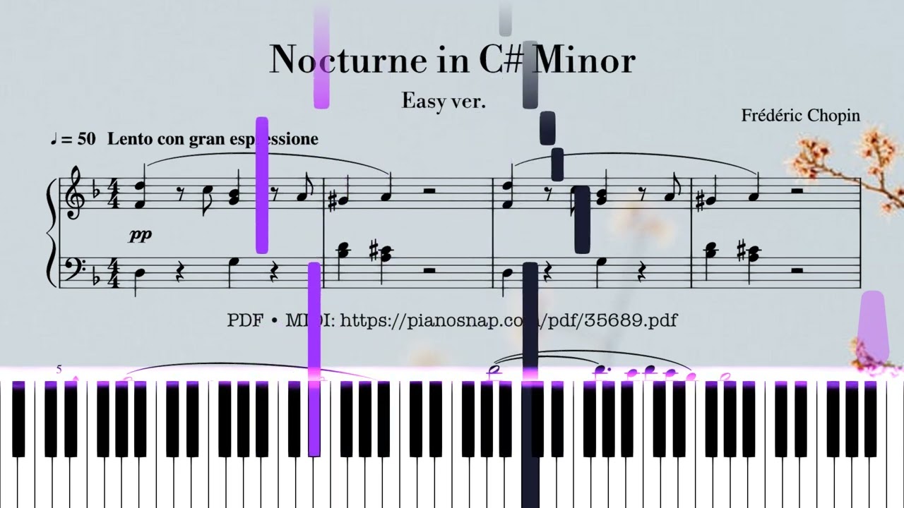 Nocturne In C Sharp Minor Piano EASY Tutorial - Chopin